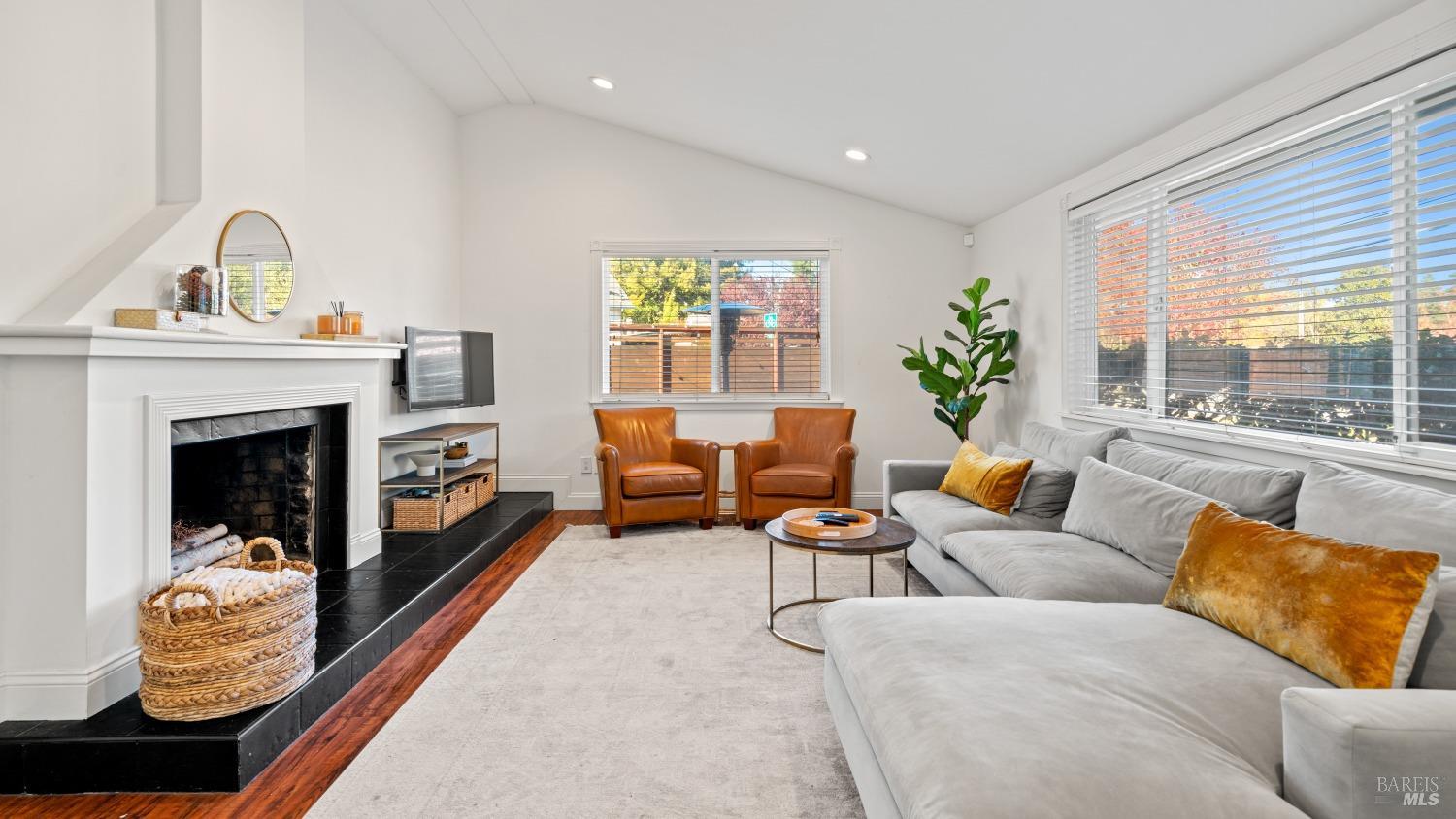 910 Mountain View Ave