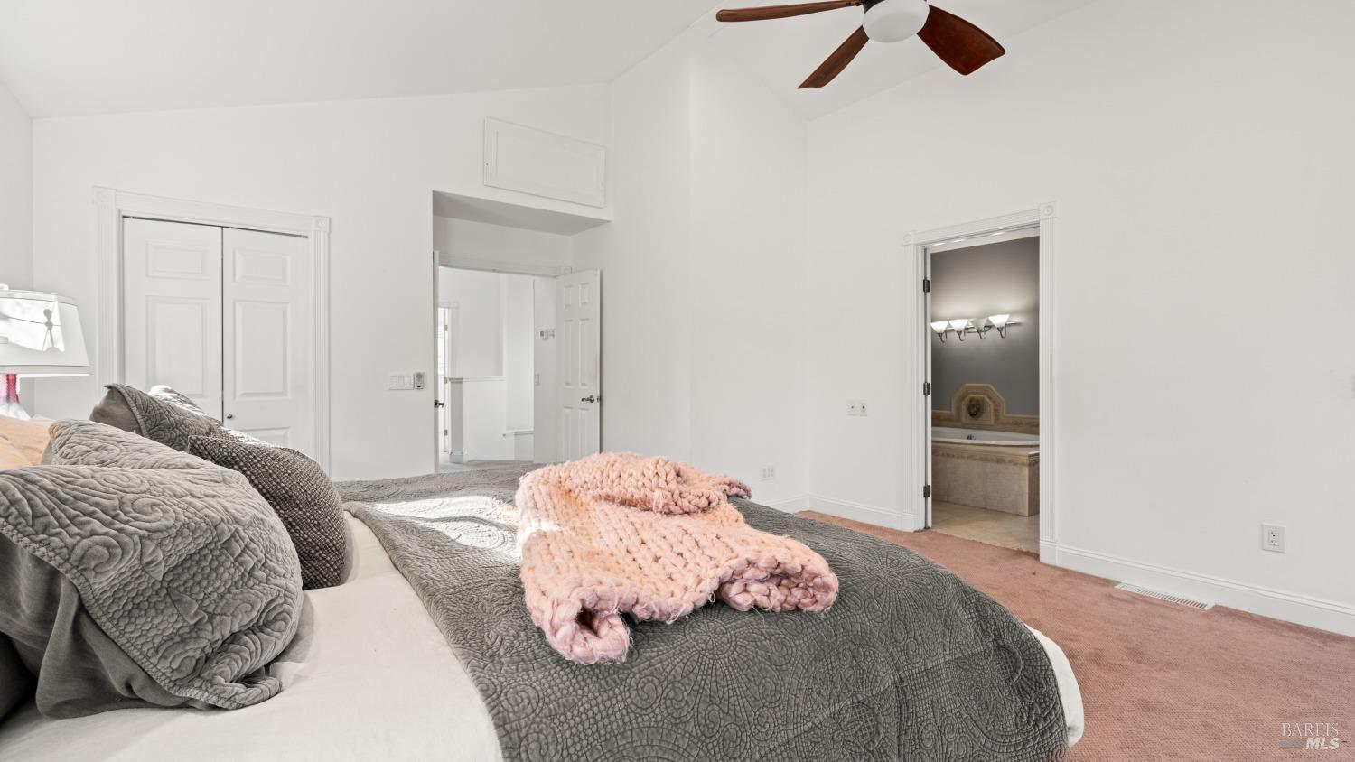 910 Mountain View Ave