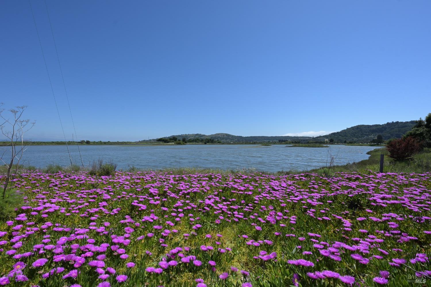 2000 Redwood Hwy #71