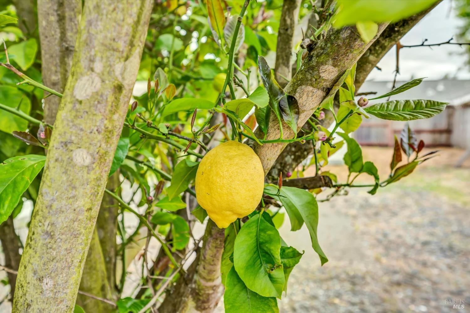 6095 Country Club Dr