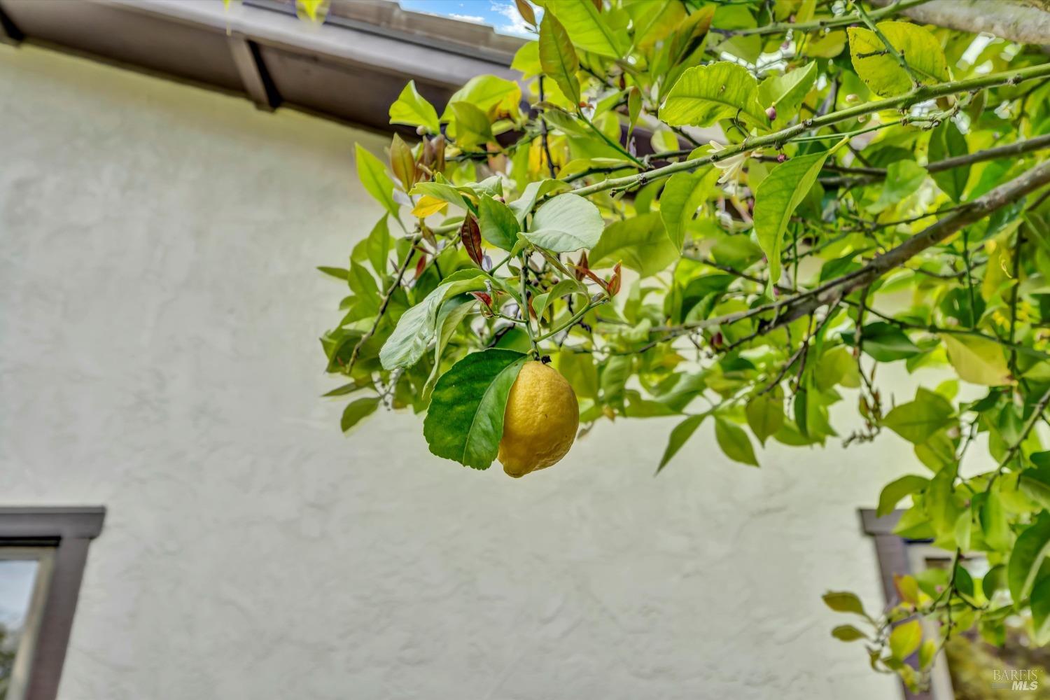 6095 Country Club Dr