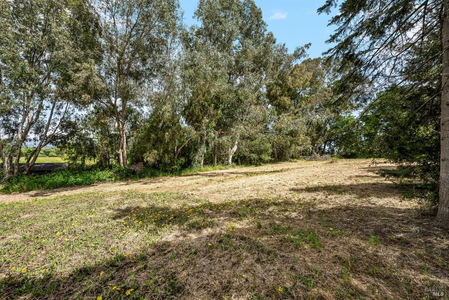 1466 Cooper Rd