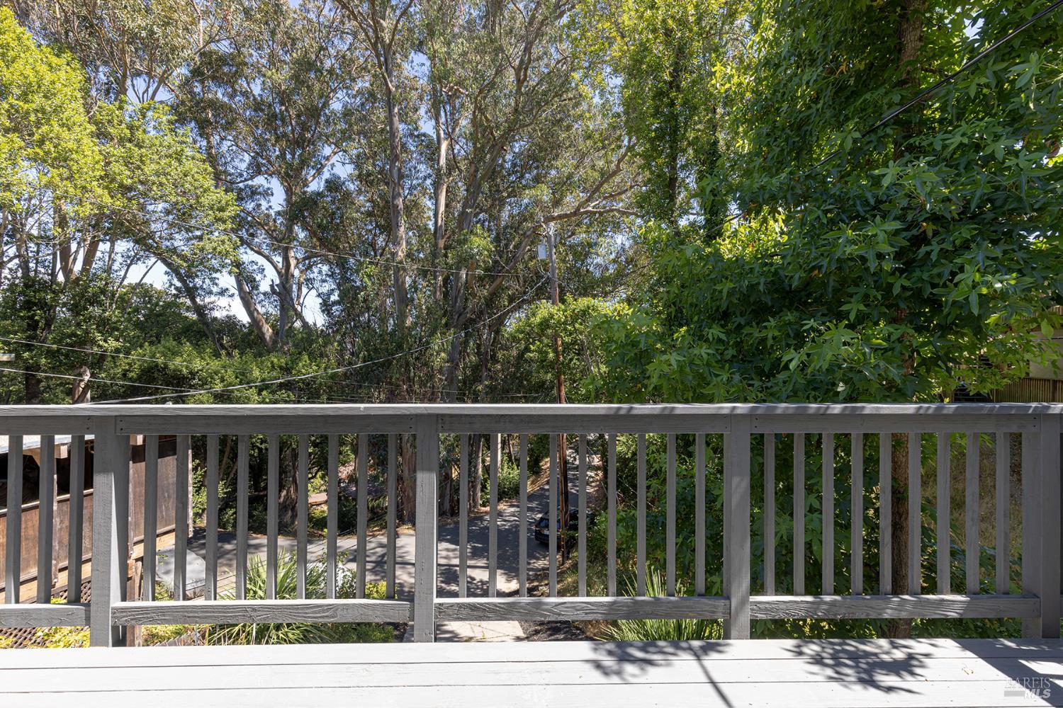 157 Homestead Blvd