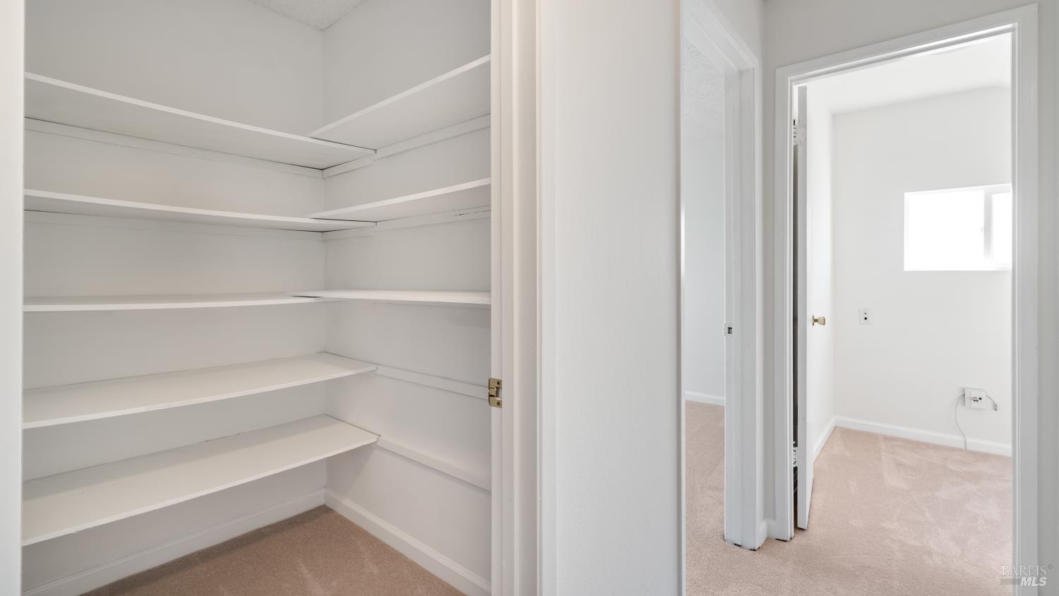 1636 Sarkesian Drive