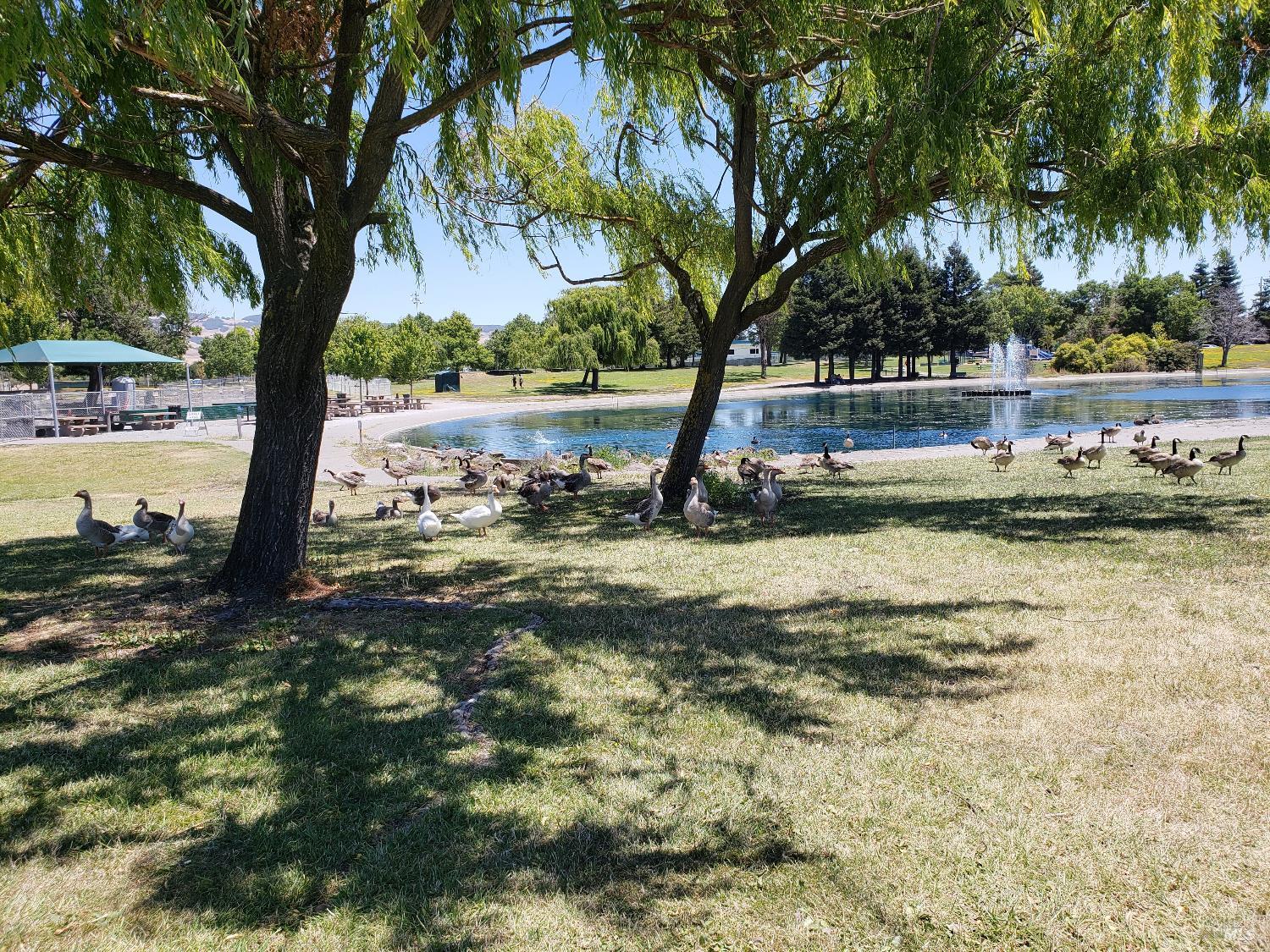 240 Park Place Drive