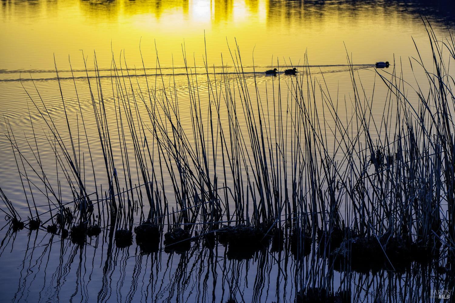 240 Park Place Drive