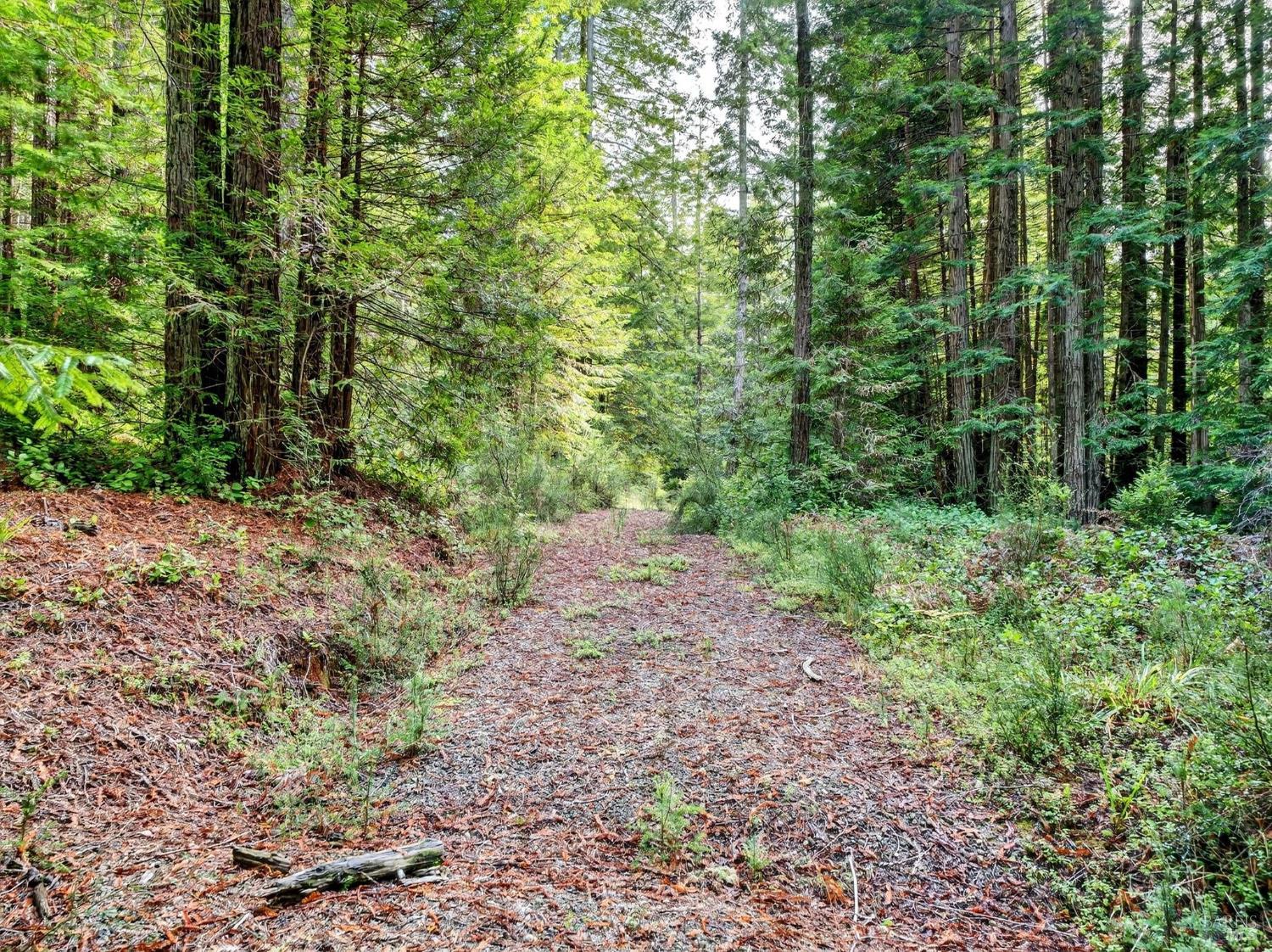 44411 Little River Airport Road