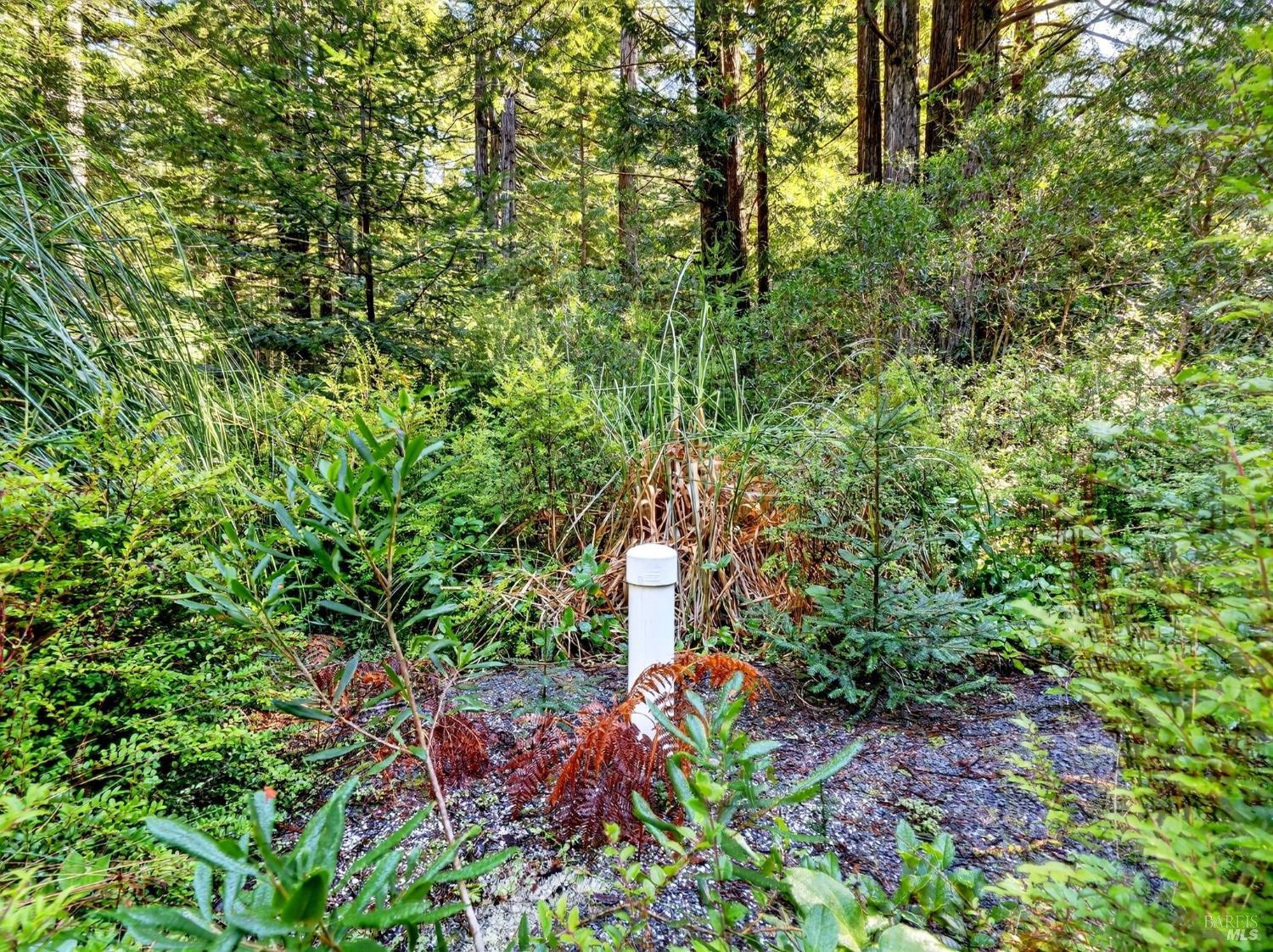 44411 Little River Airport Road