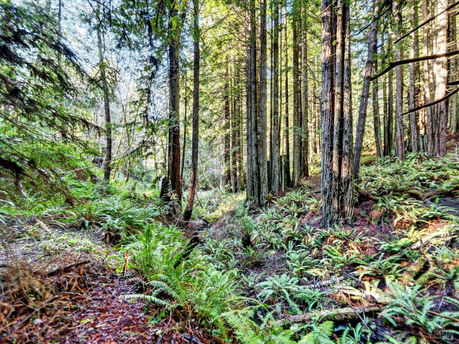 44411 Little River Airport Road