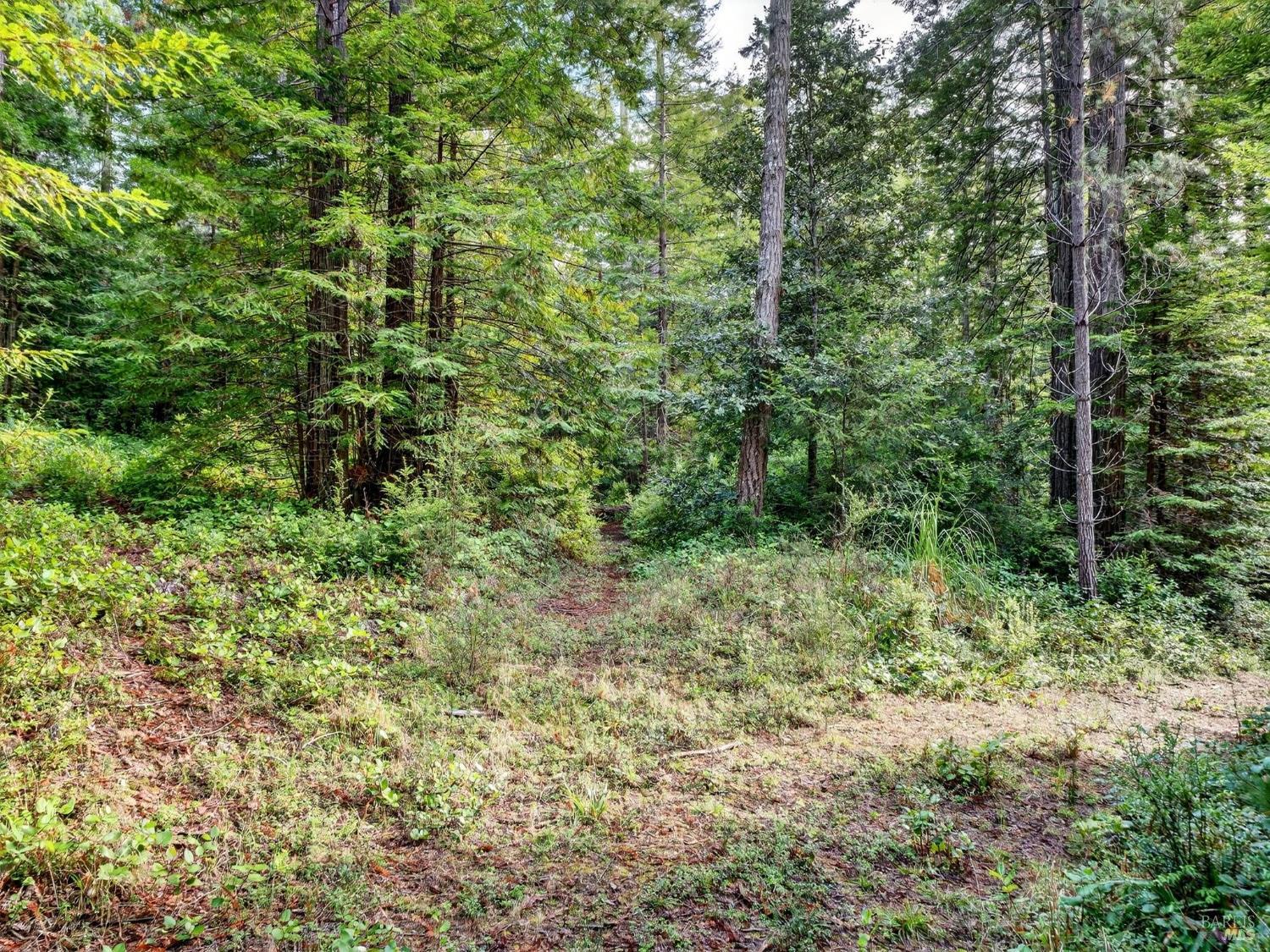 44411 Little River Airport Road