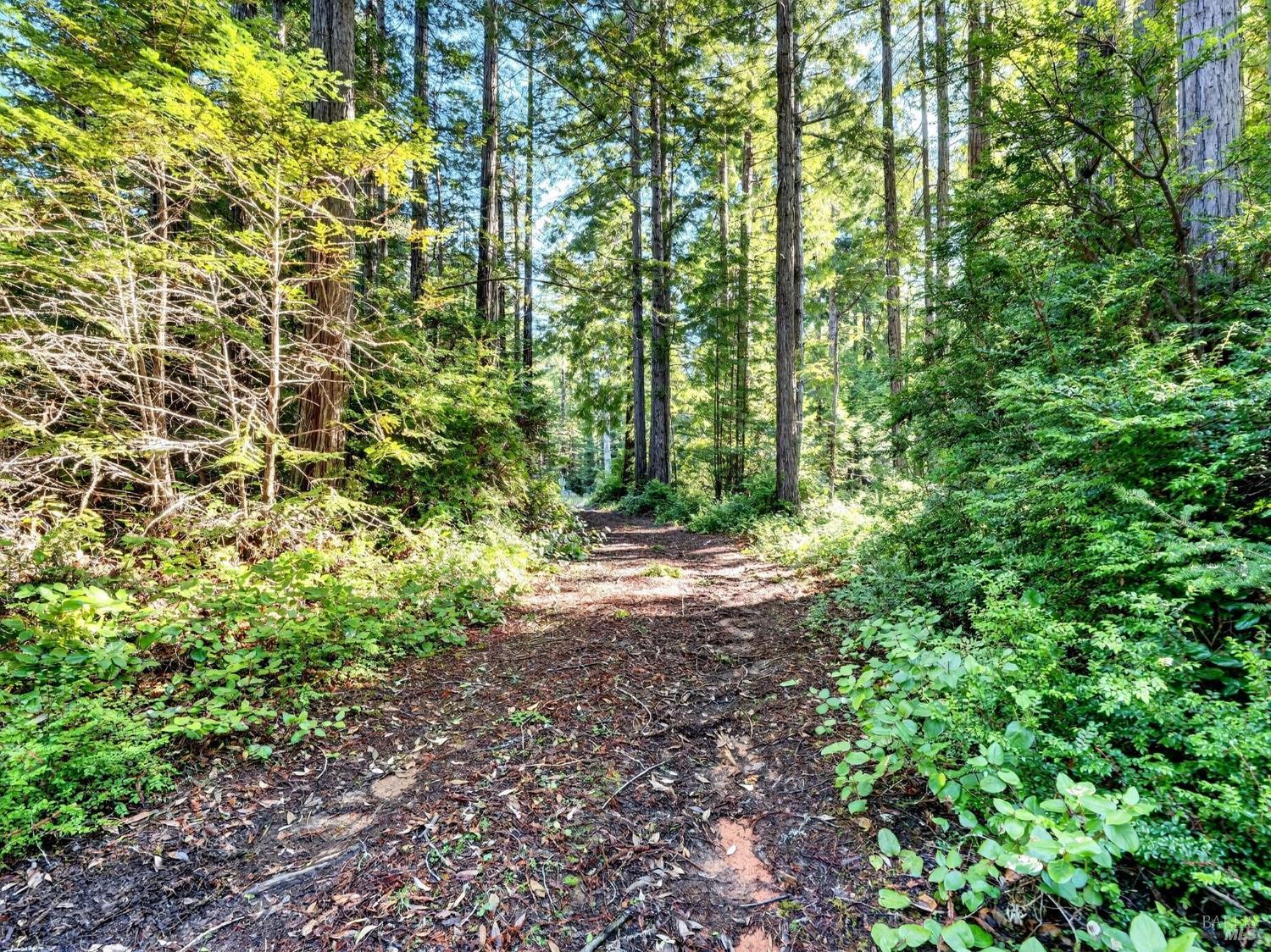 44411 Little River Airport Road