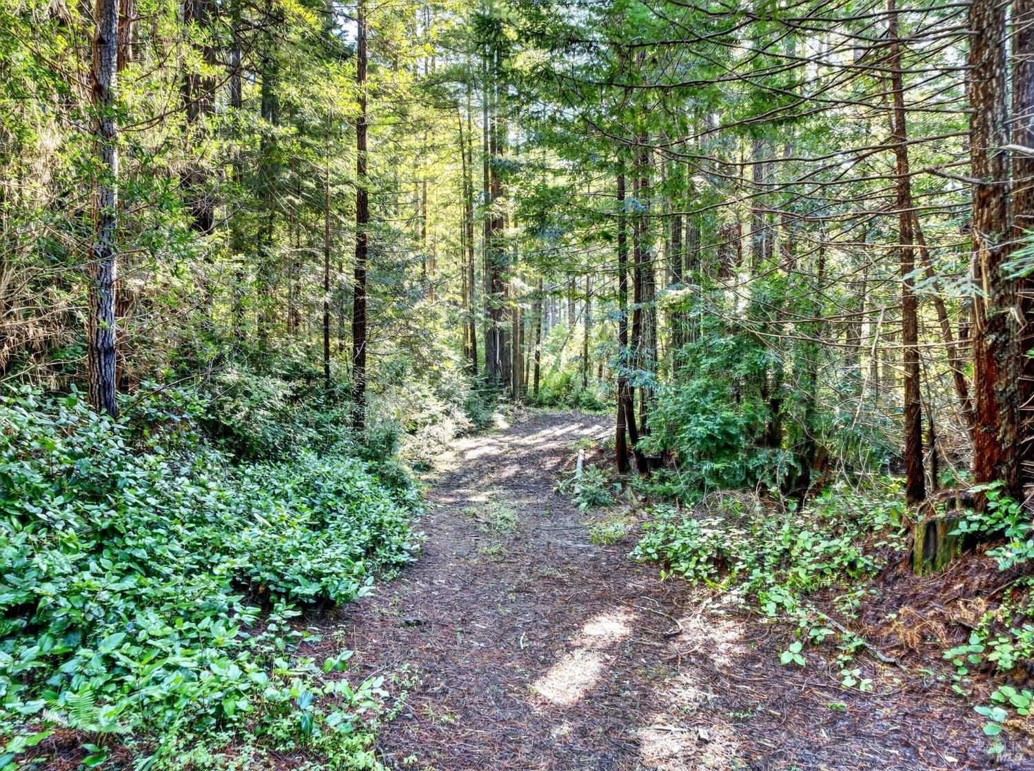 44411 Little River Airport Road