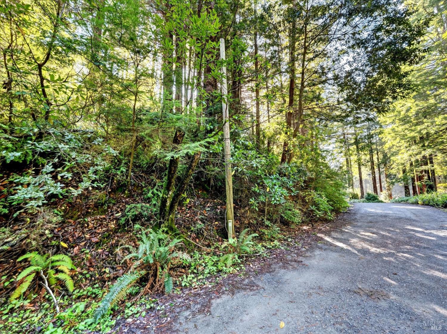 44411 Little River Airport Road