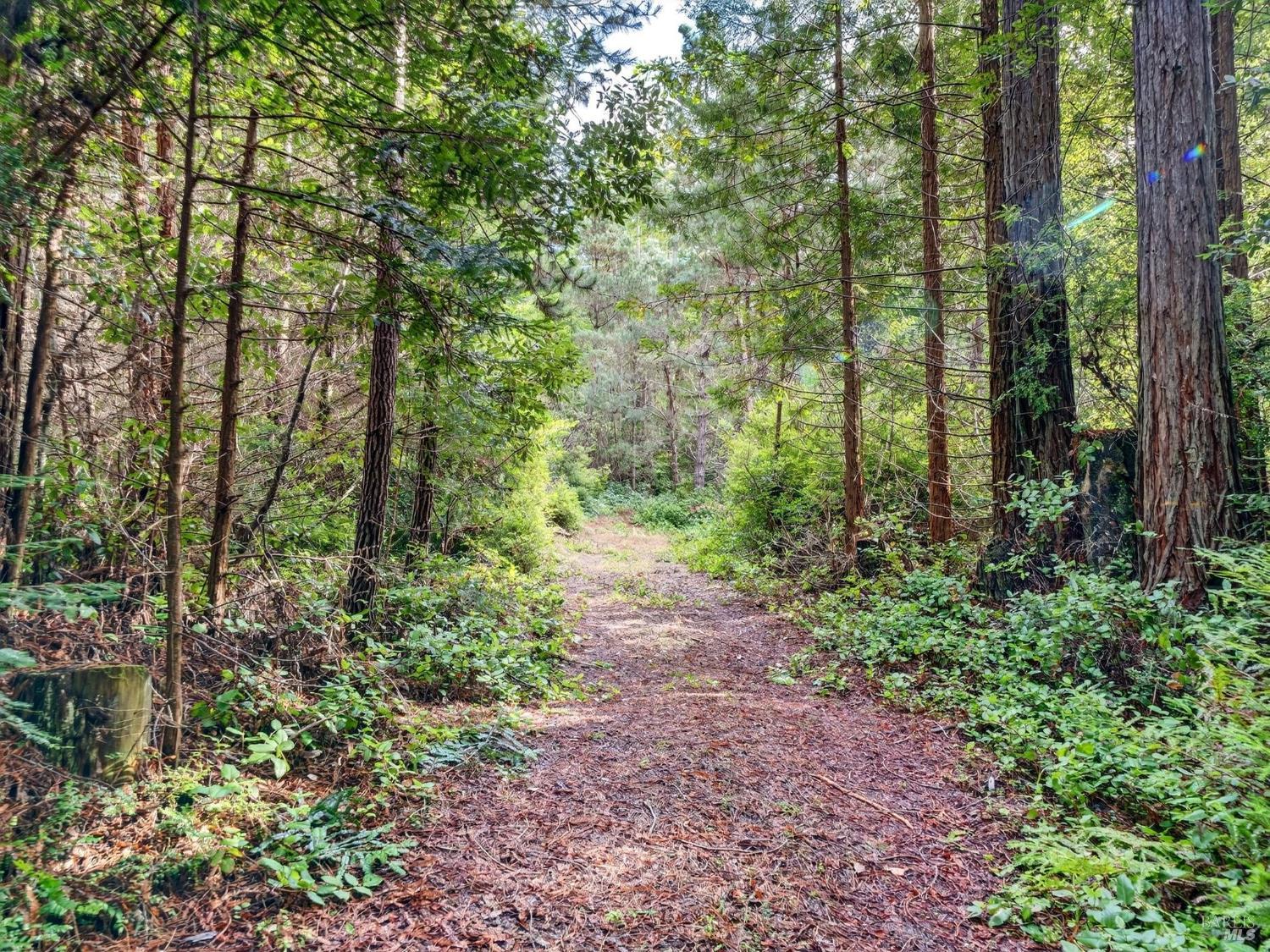 44411 Little River Airport Road