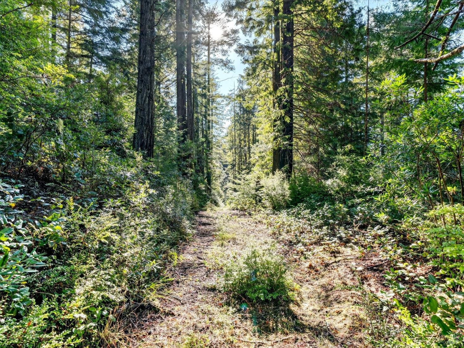 44411 Little River Airport Road