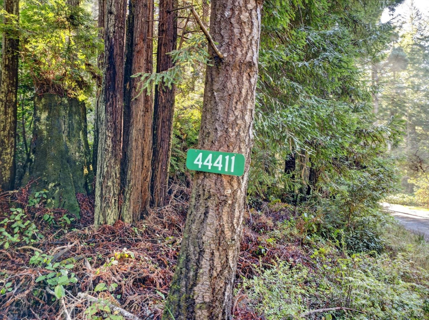 44411 Little River Airport Road