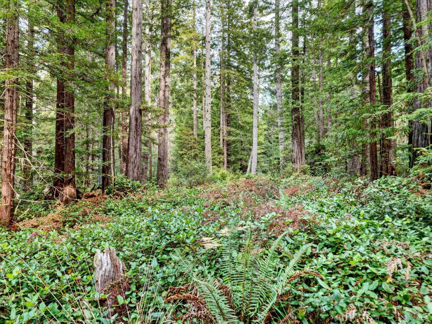 44411 Little River Airport Road