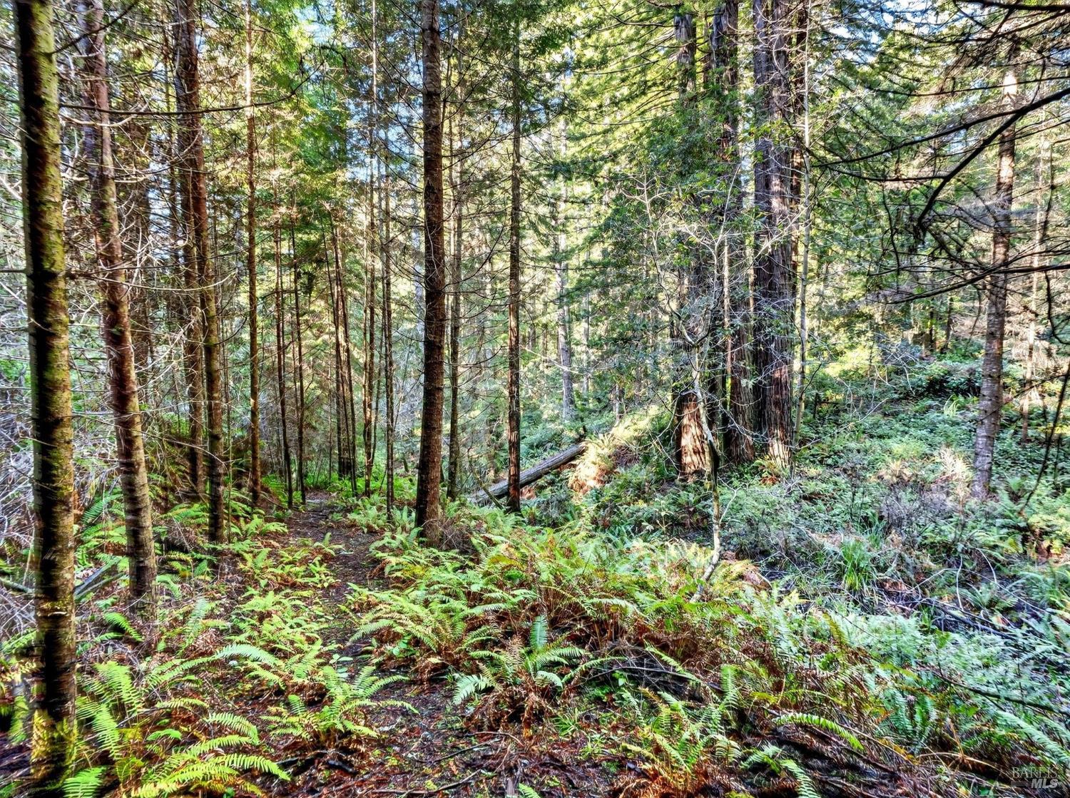 44411 Little River Airport Road