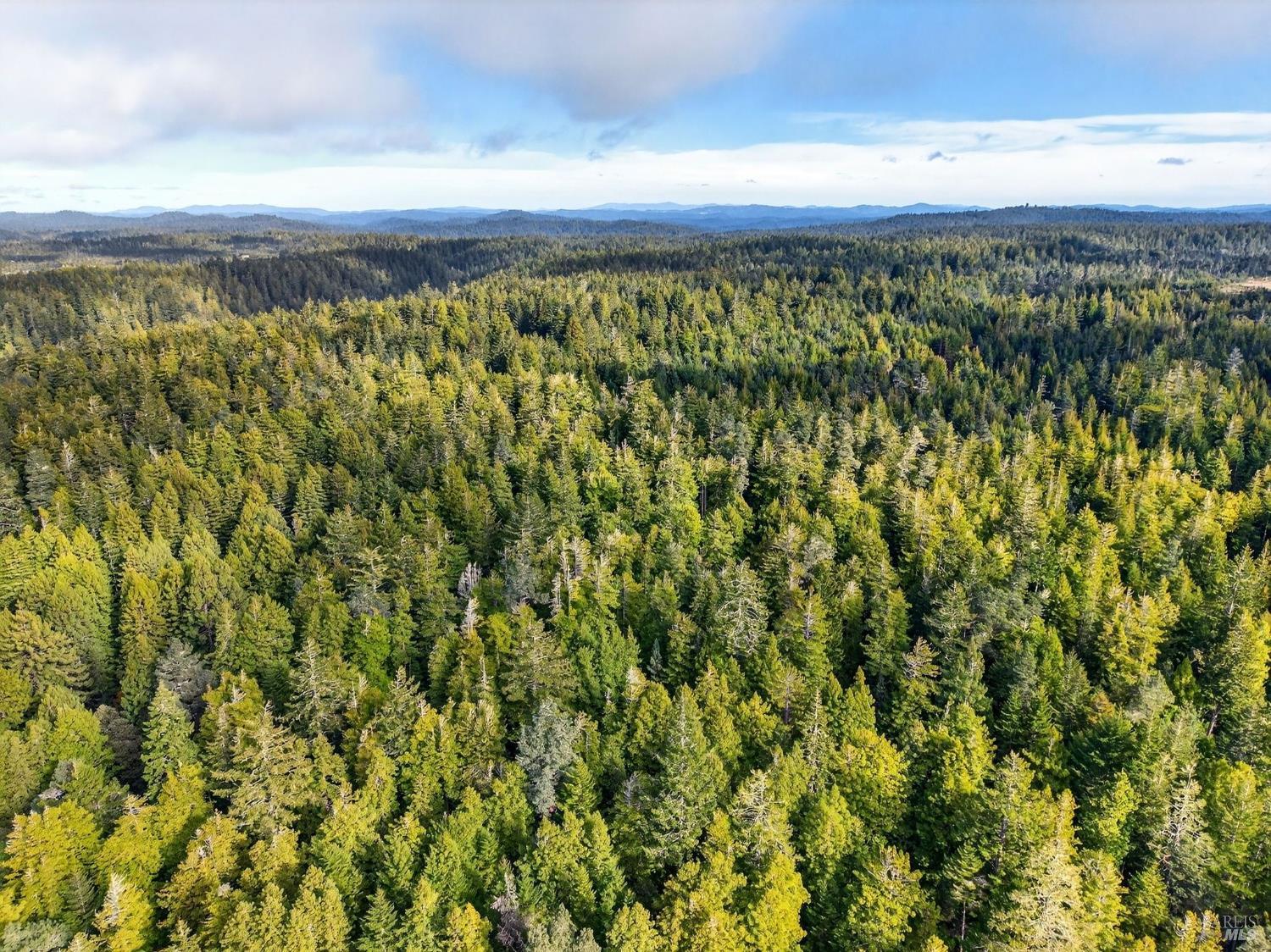 44411 Little River Airport Road