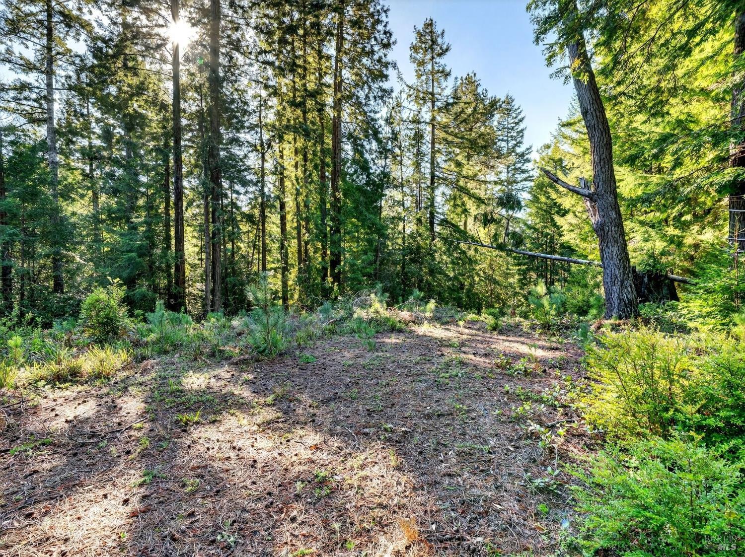 44411 Little River Airport Road