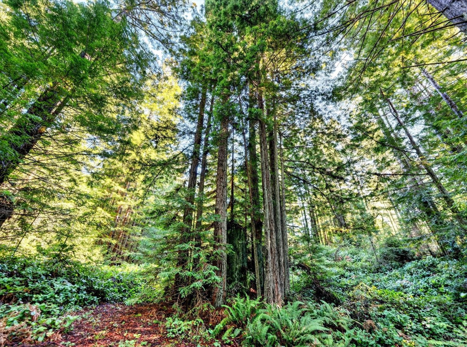 44411 Little River Airport Road