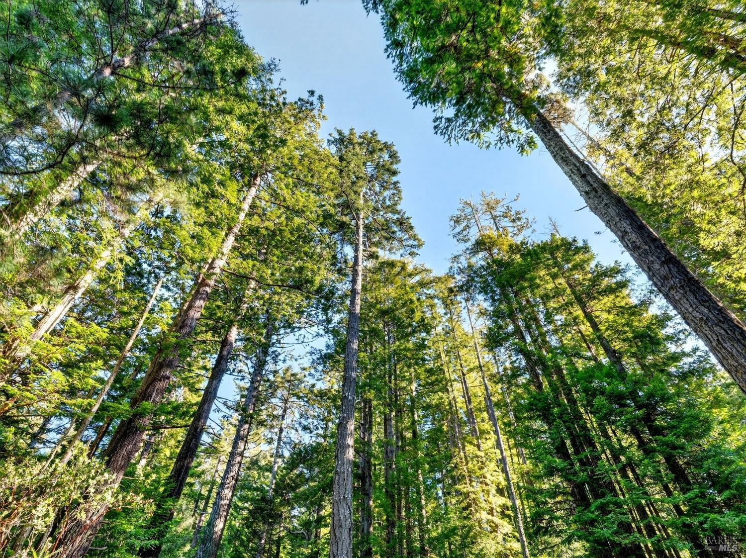 44411 Little River Airport Road