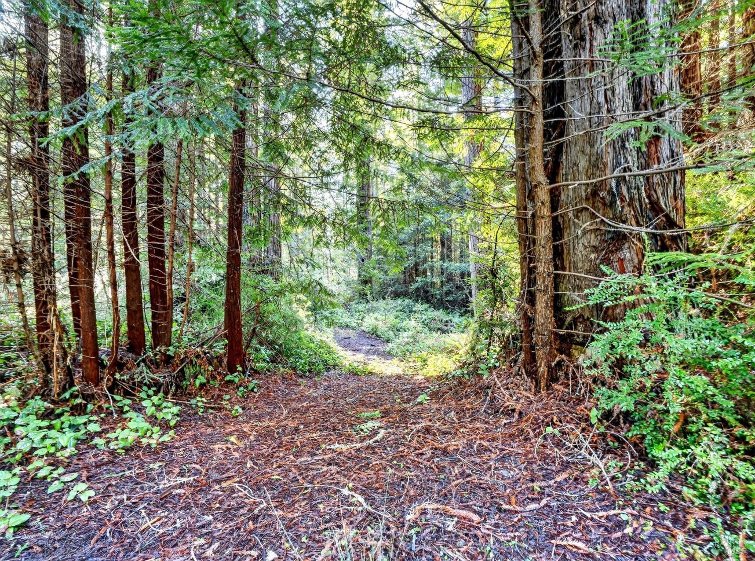 44411 Little River Airport Road