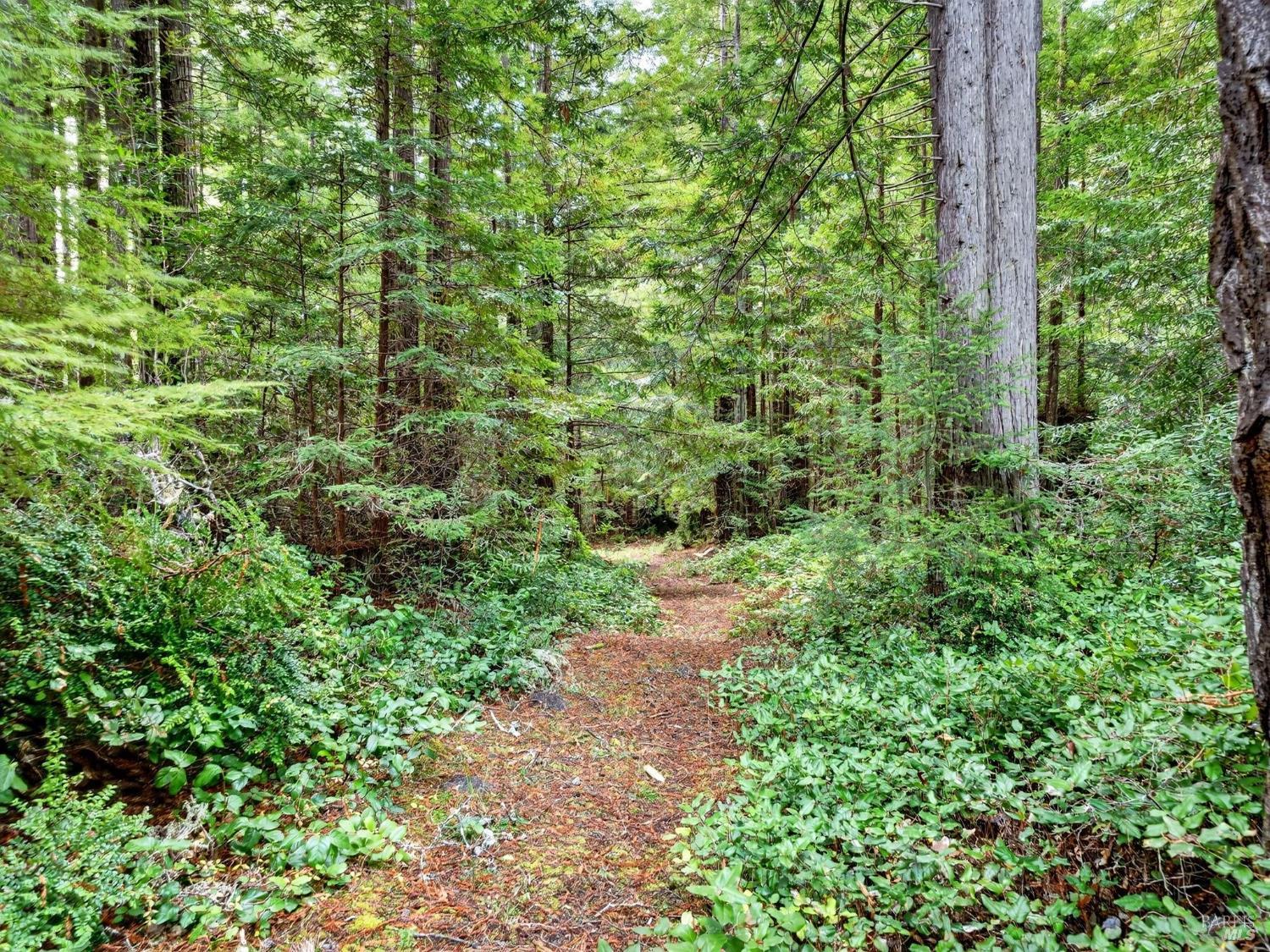 44411 Little River Airport Road