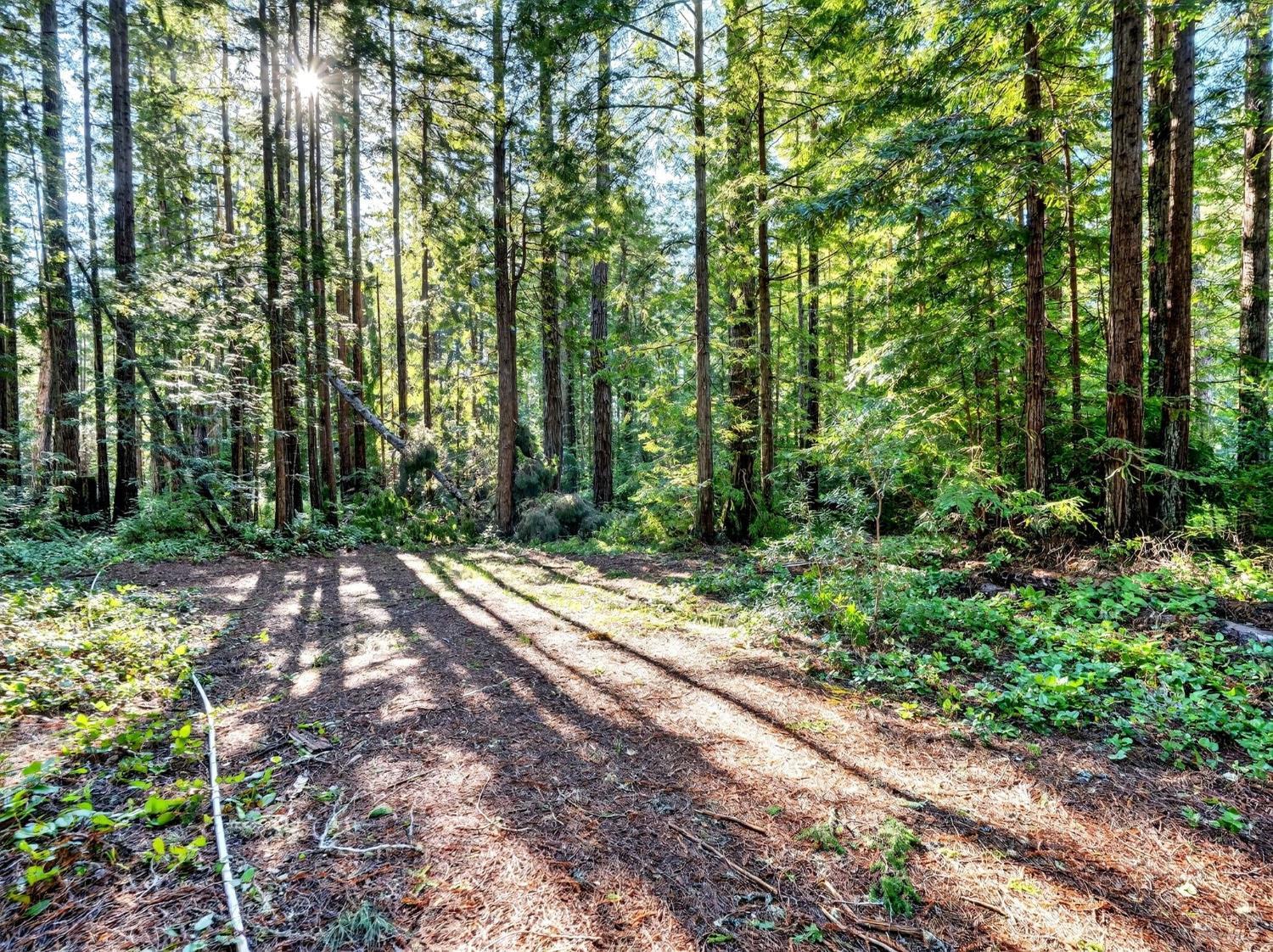 44411 Little River Airport Road