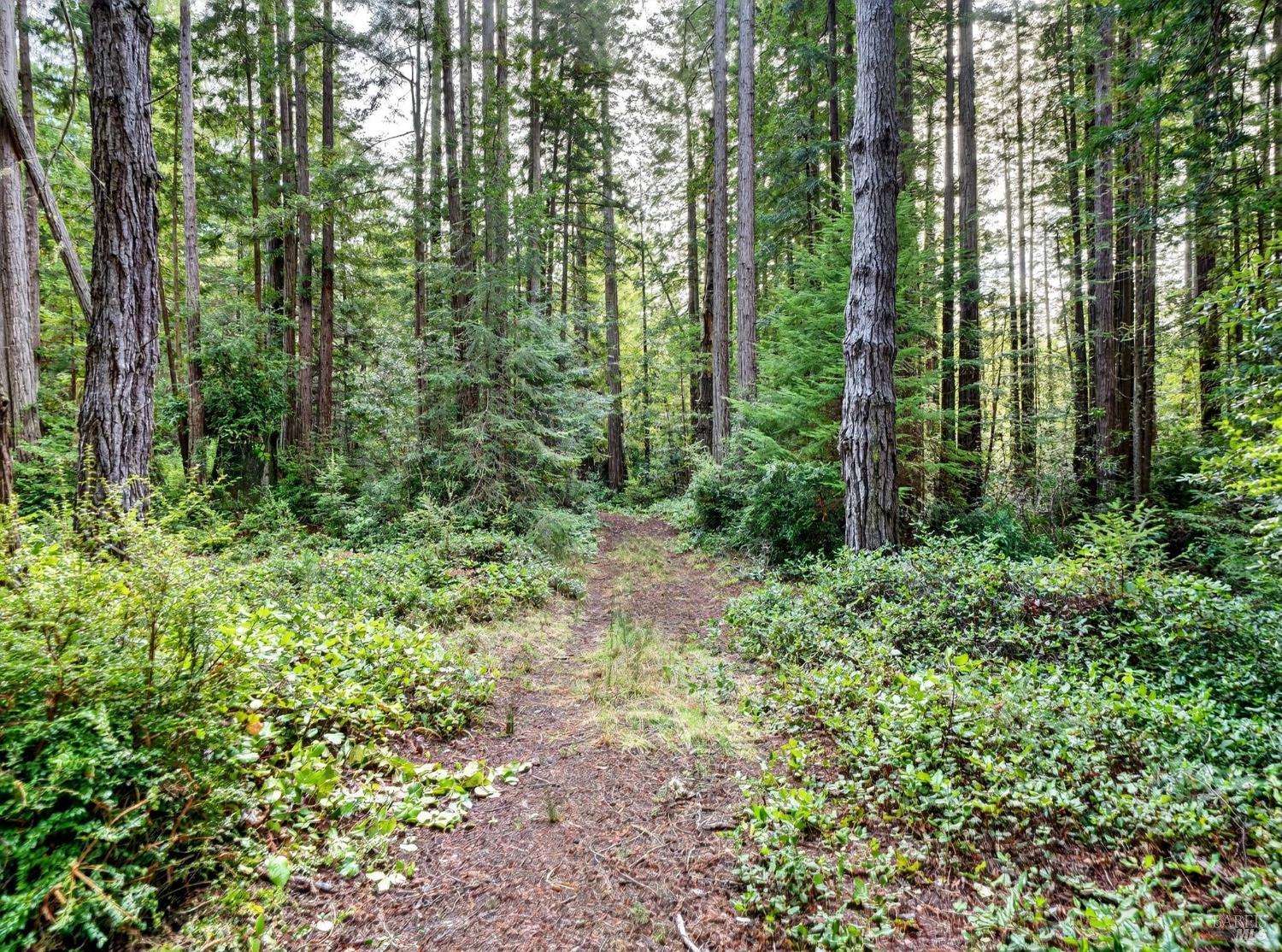 44411 Little River Airport Road