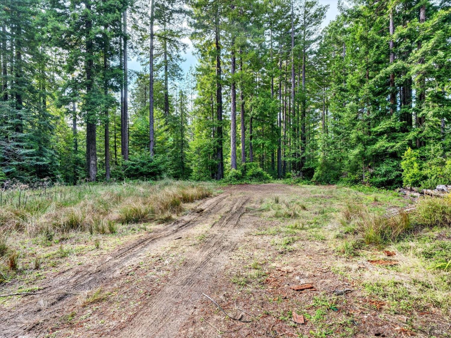 44411 Little River Airport Road