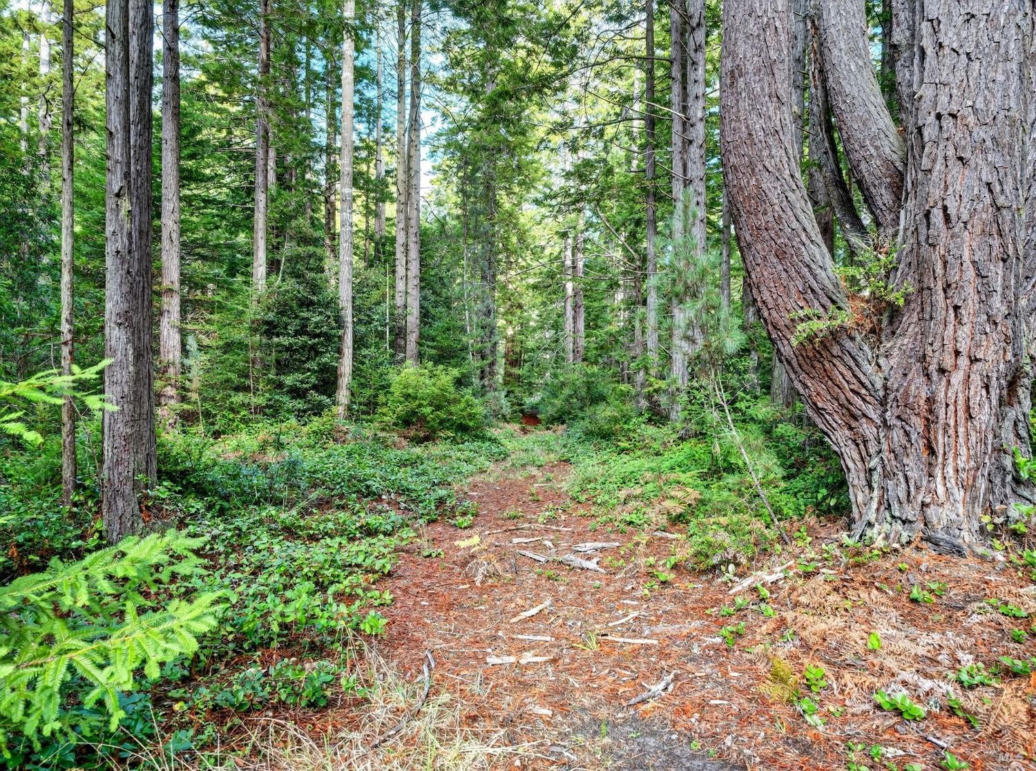 44411 Little River Airport Road