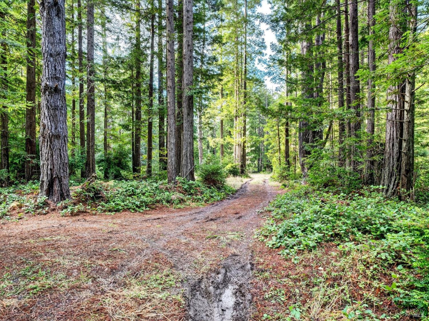 44411 Little River Airport Road