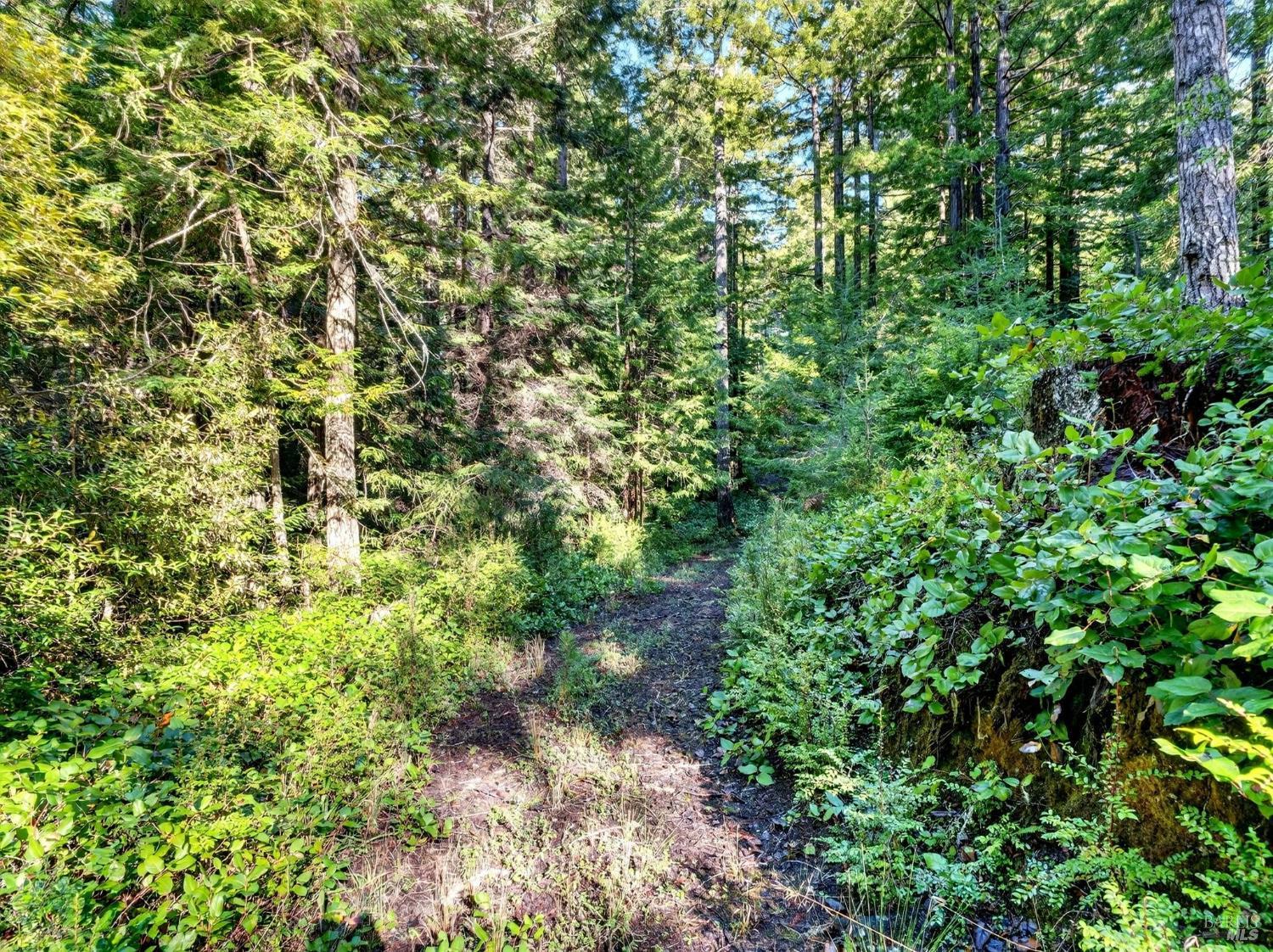 44411 Little River Airport Road