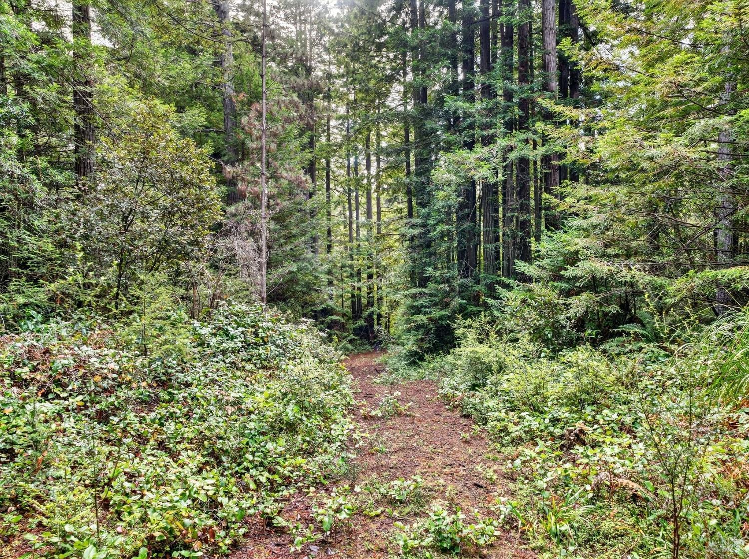 44411 Little River Airport Road