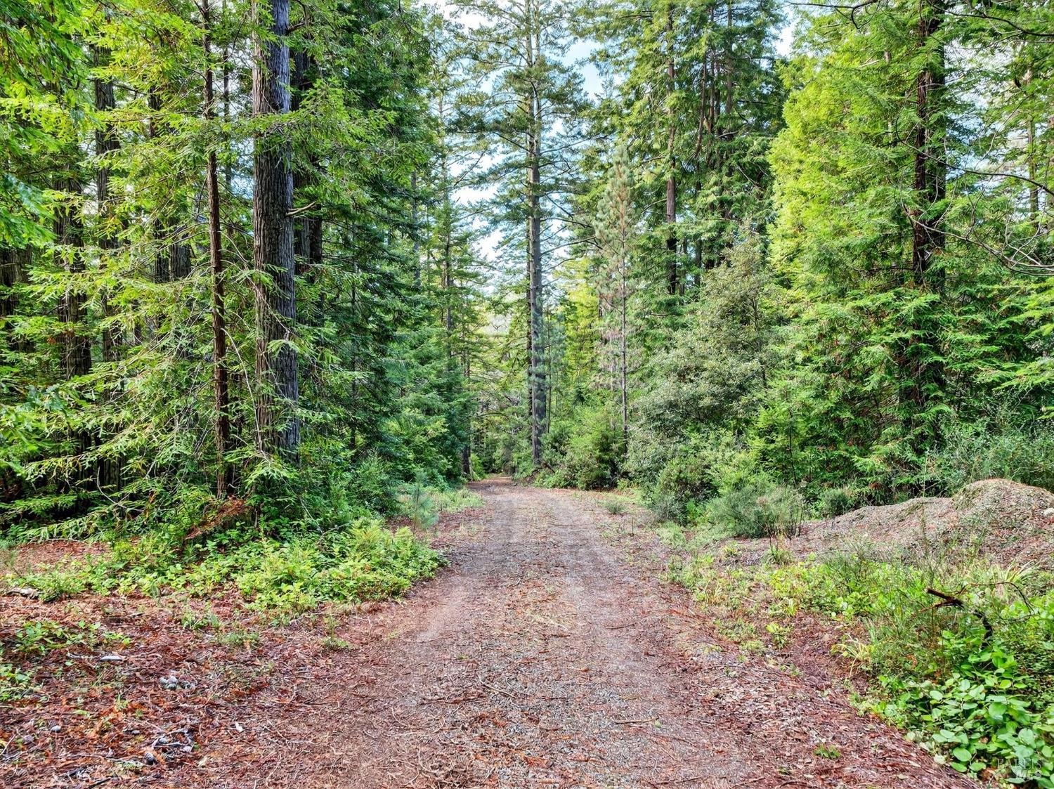 44411 Little River Airport Road