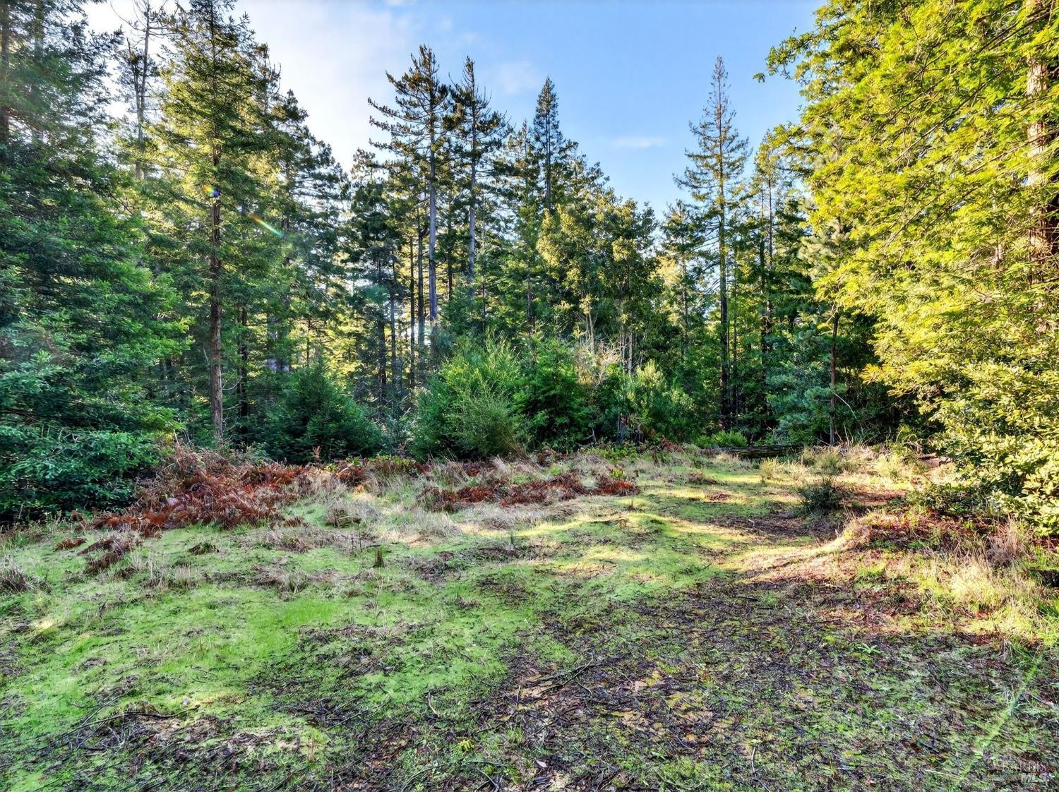 44411 Little River Airport Road