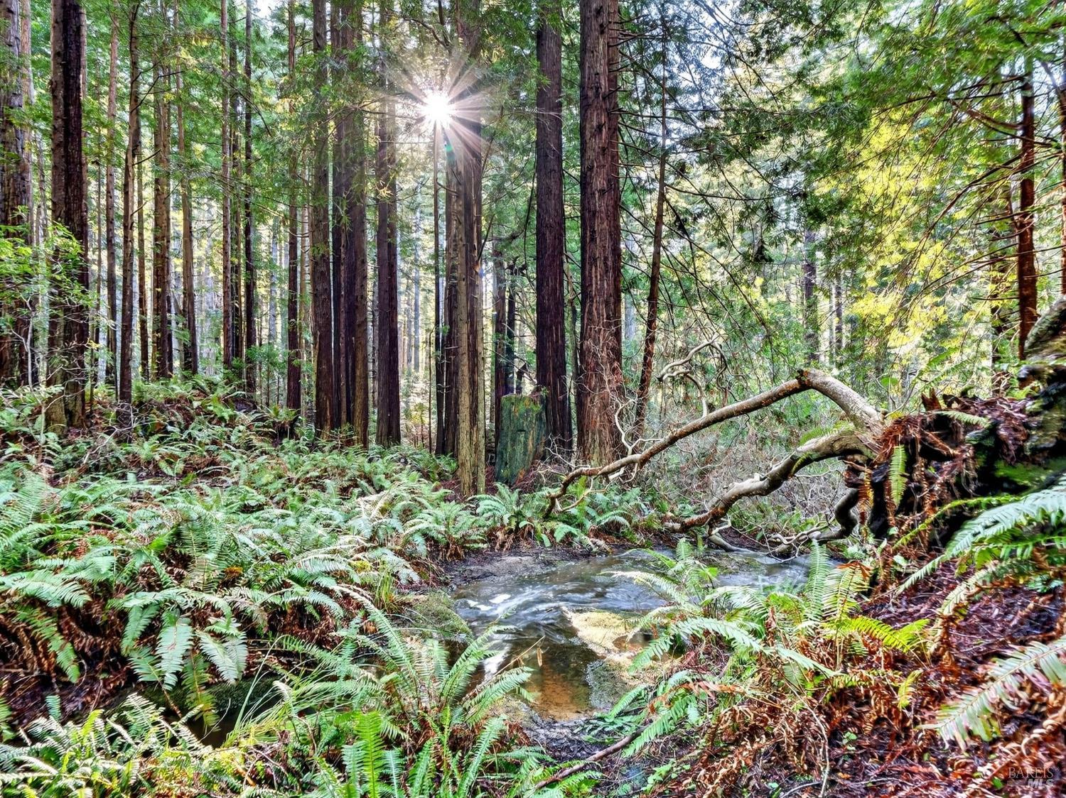 44411 Little River Airport Road