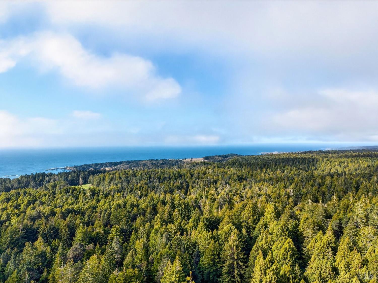 44411 Little River Airport Road