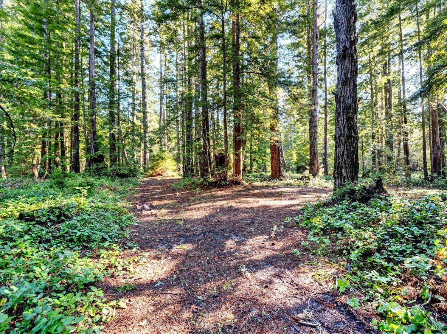 44411 Little River Airport Road