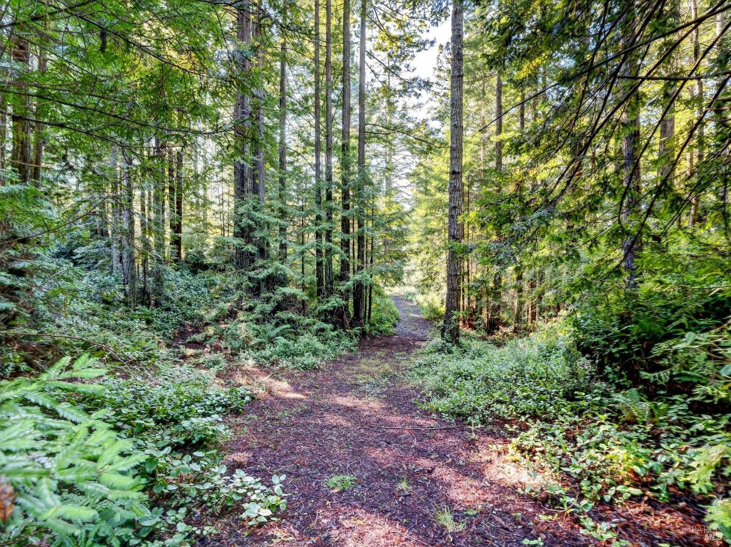 44411 Little River Airport Road