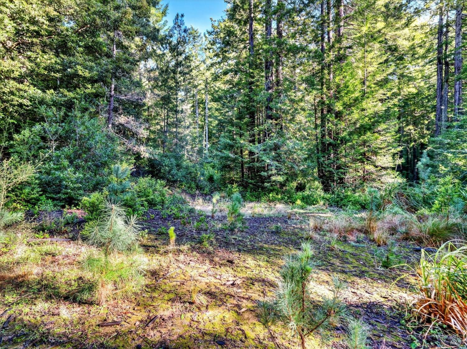 44411 Little River Airport Road