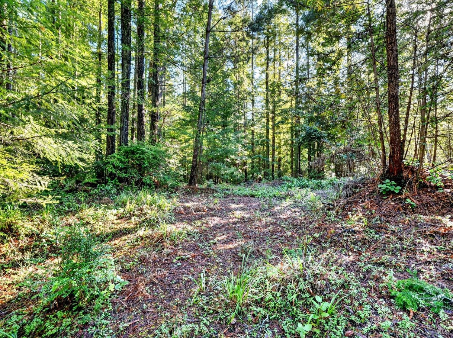 44411 Little River Airport Road