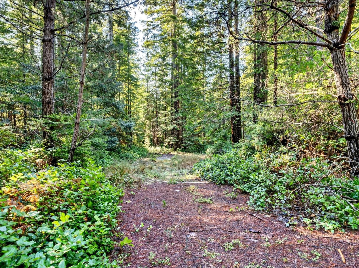 44411 Little River Airport Road