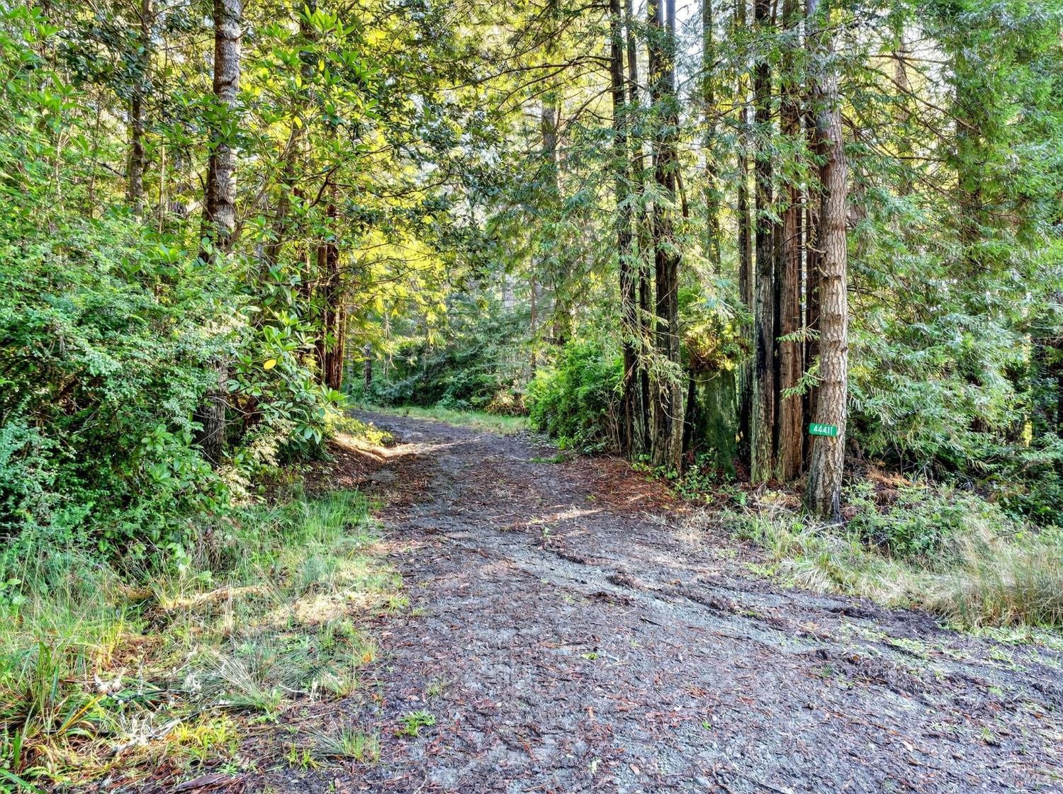 44411 Little River Airport Road