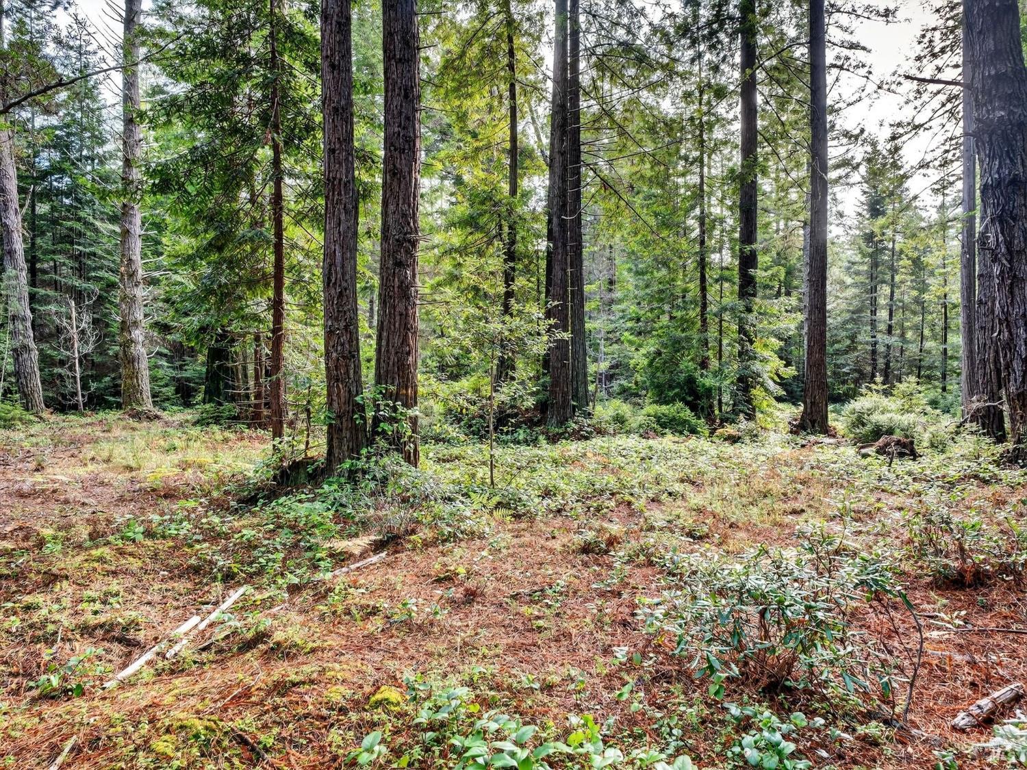 44411 Little River Airport Road