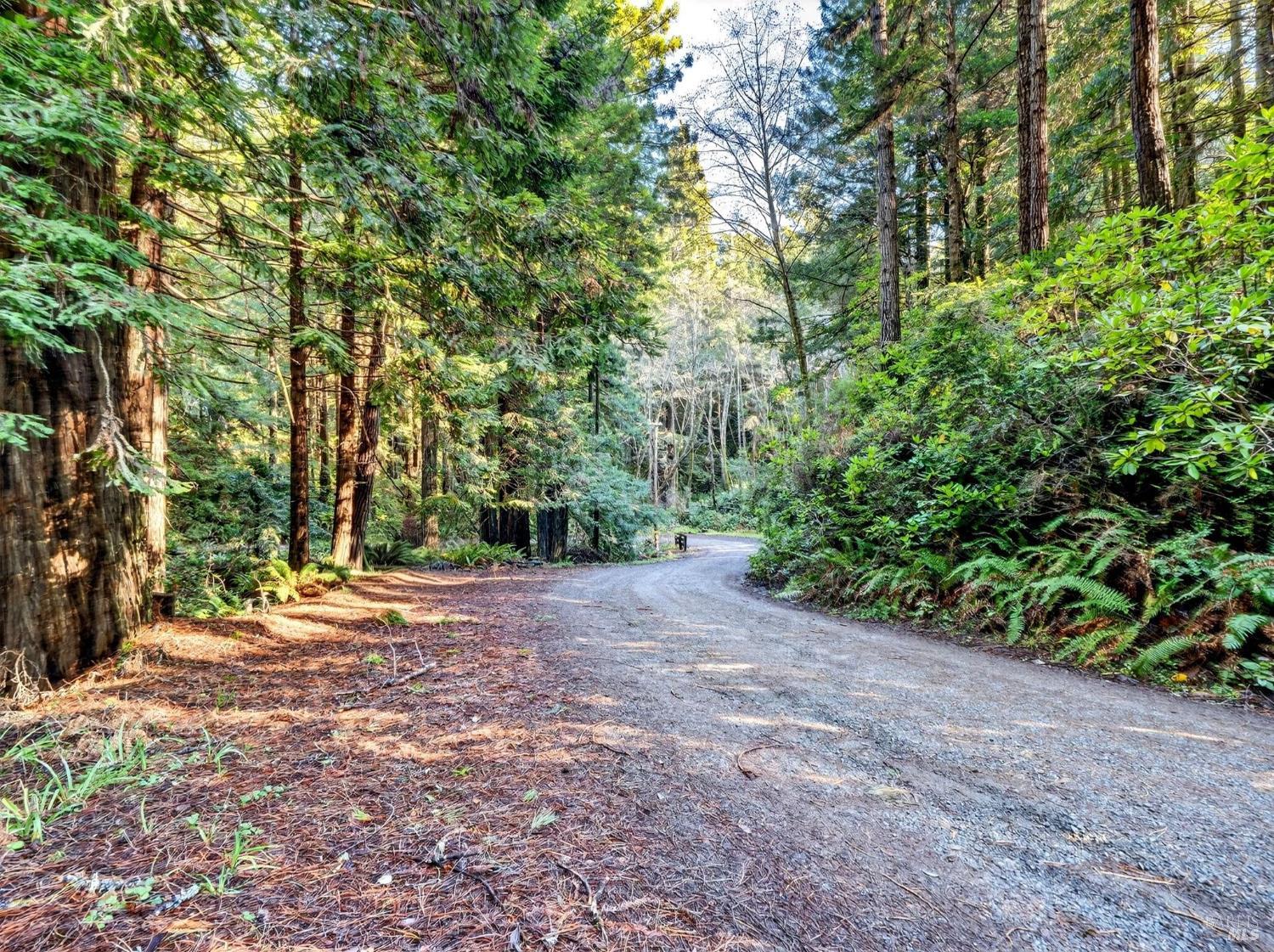 44411 Little River Airport Road