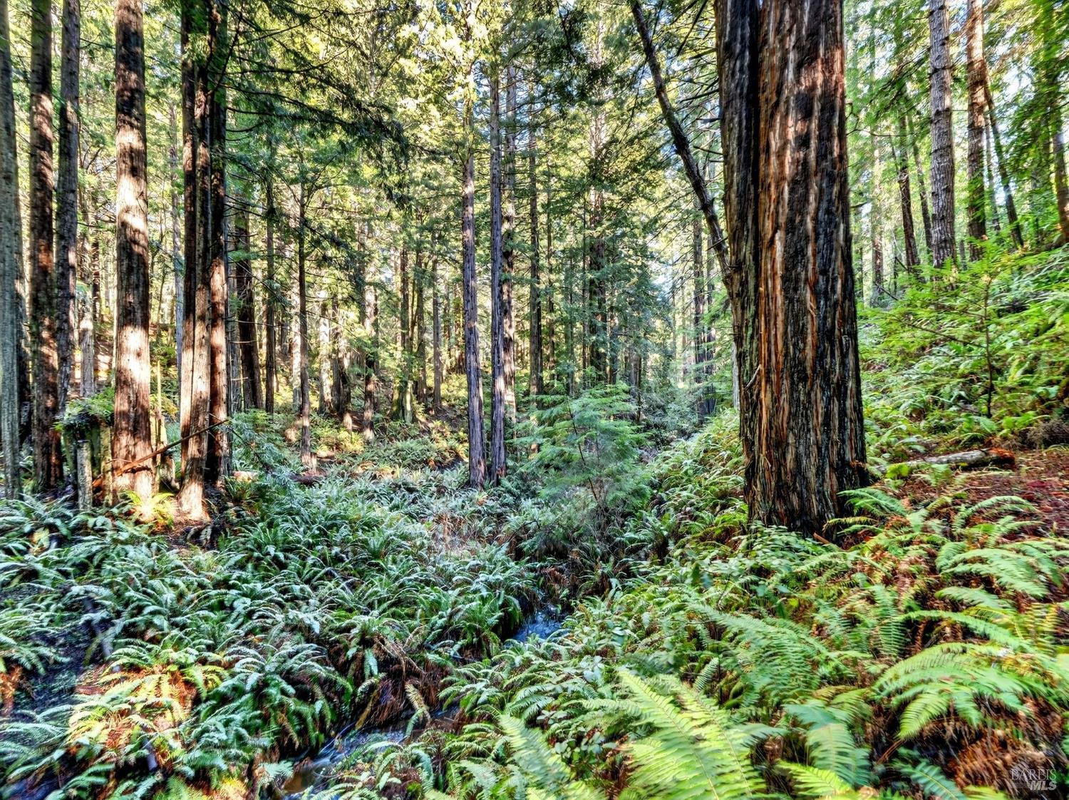 44411 Little River Airport Road