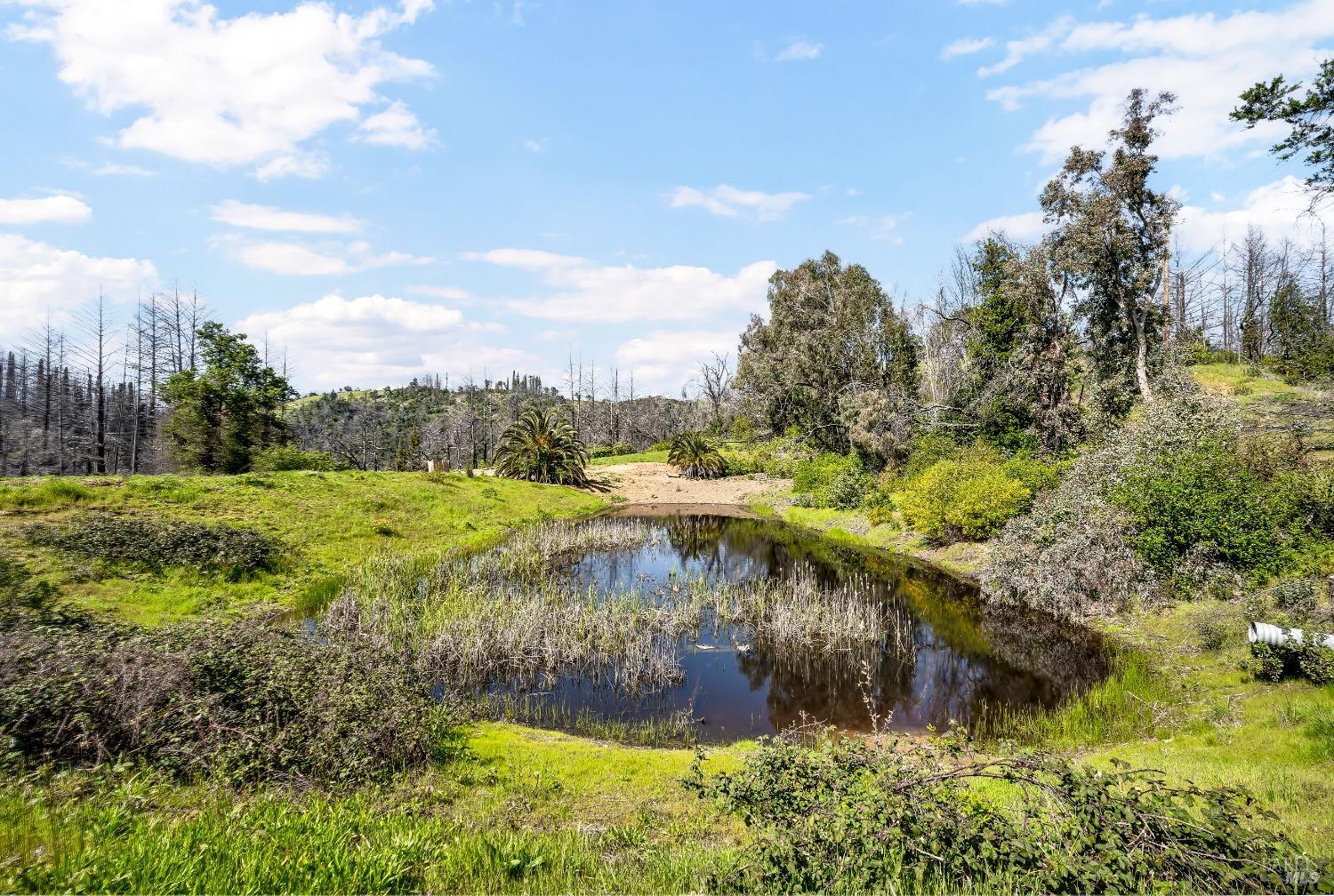 7777 Mill Creek Road
