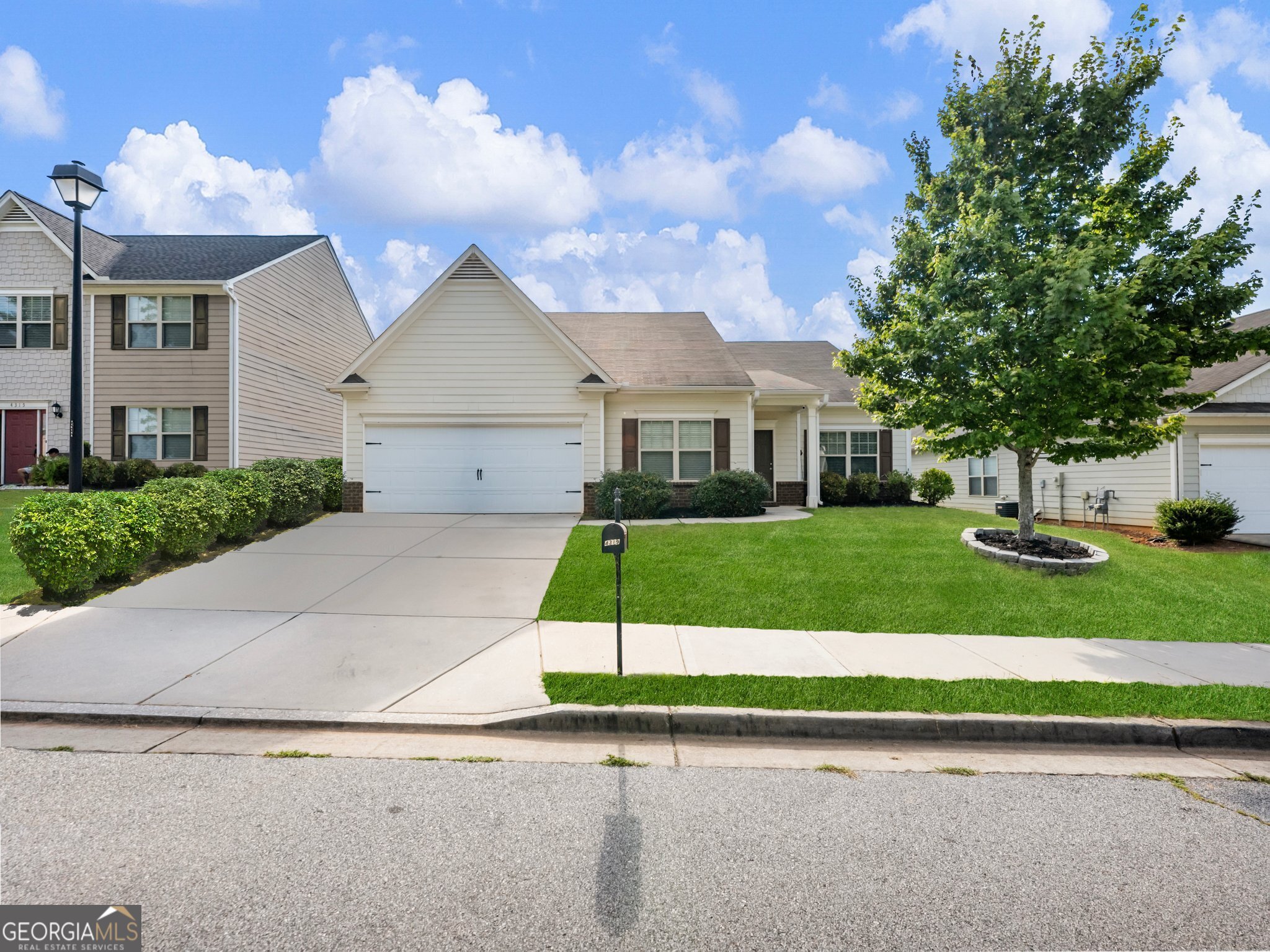 4319 Box Elder Path